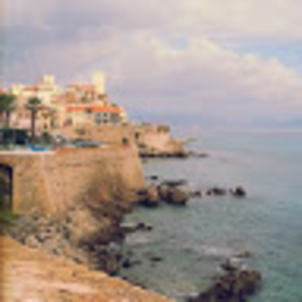 Meet your Posher, Dhamer levine